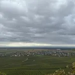 Au Secret Des Vignes