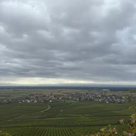 Au Secret Des Vignes